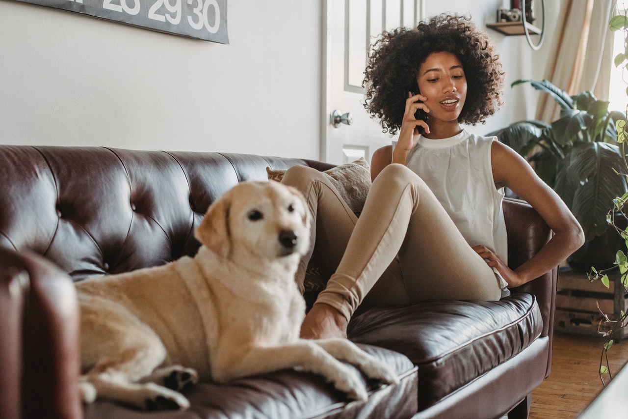 girl is talking on a phone seating over a sofa with dog