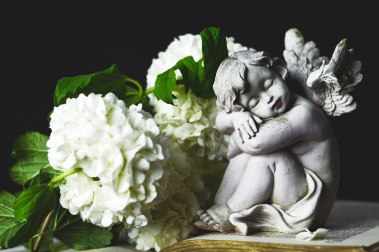 Forget Me Not Bereavement Gift Ideas for 2024