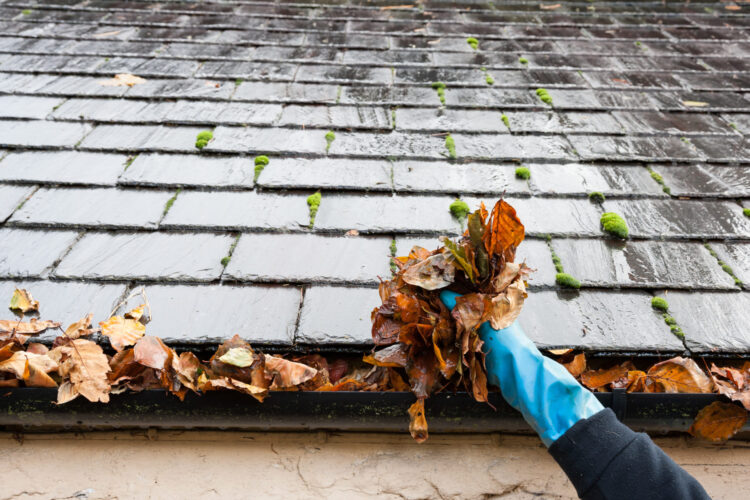 5 Most Common Causes Of Roof Leaks & How To Fix Them