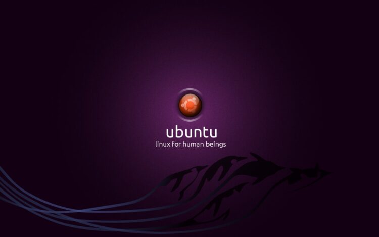 Basics of Ubuntu VPS