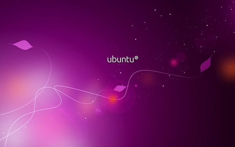 Basics of Ubuntu VPS