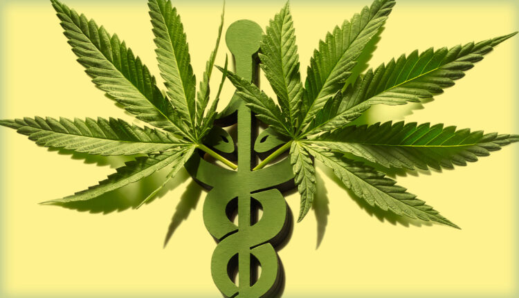 What Exactly Sets Medical Marijuana Apart From Recreational MMJ?