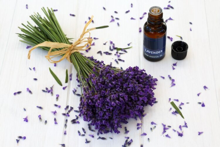 Which Essential Oil Is Best for Stress and Anxiety?