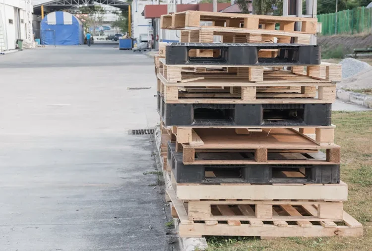 Should You Use Plastic or Wood Pallets? 5 Tips for Choosing