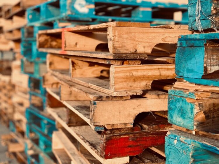 Should You Use Plastic or Wood Pallets? 5 Tips for Choosing