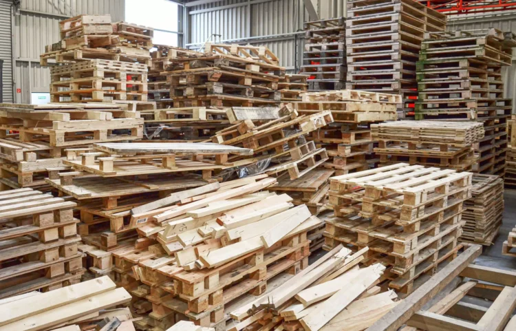 Should You Use Plastic or Wood Pallets? 5 Tips for Choosing