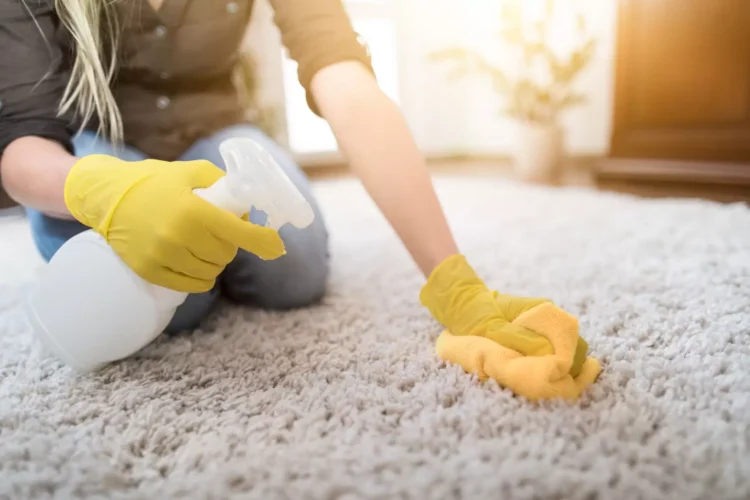 How Do You Fix A Smelly Carpet After Cleaning It- 2023 Guide