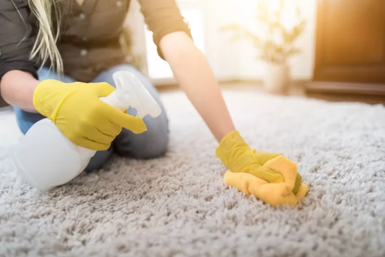 How Do You Fix A Smelly Carpet After Cleaning It- 2024 Guide