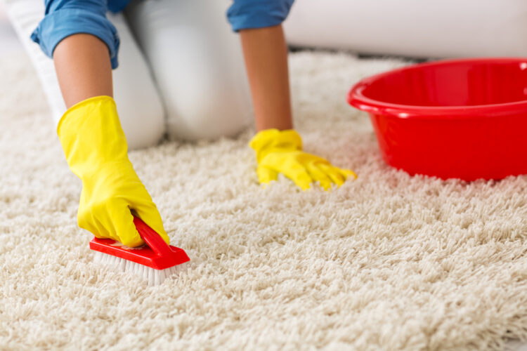 How Do You Fix A Smelly Carpet After Cleaning It- 2024 Guide