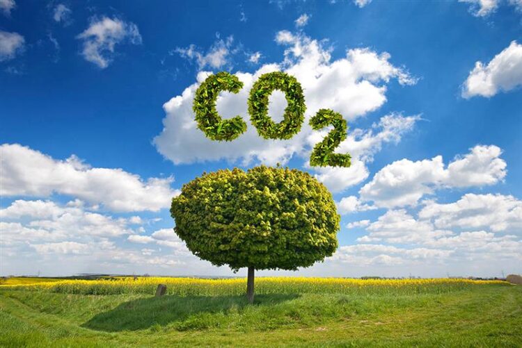 12 Advantages of Buying Eco-Friendly Products