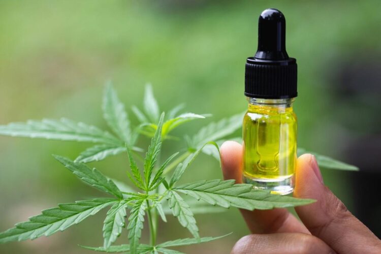 Navigating the Growing Market for CBD Oil: What You Need To Know