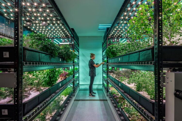 The Power of Indoor Growing Equipment