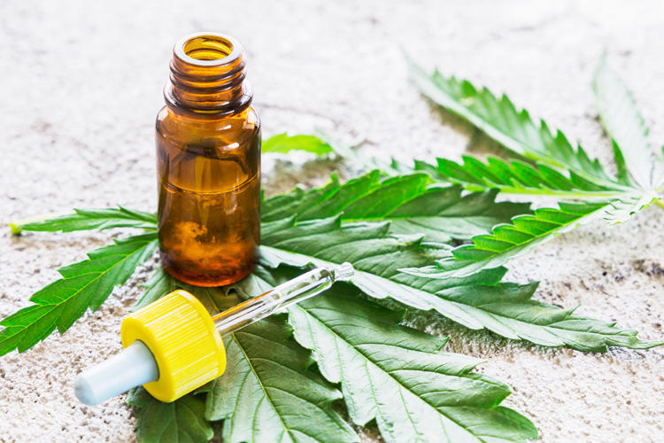 Navigating the Growing Market for CBD Oil: What You Need To Know