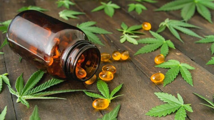 5 Reasons Why People Prefer CBD Capsules Over Traditional Capsules