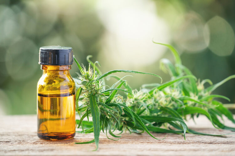 Navigating the Growing Market for CBD Oil: What You Need To Know