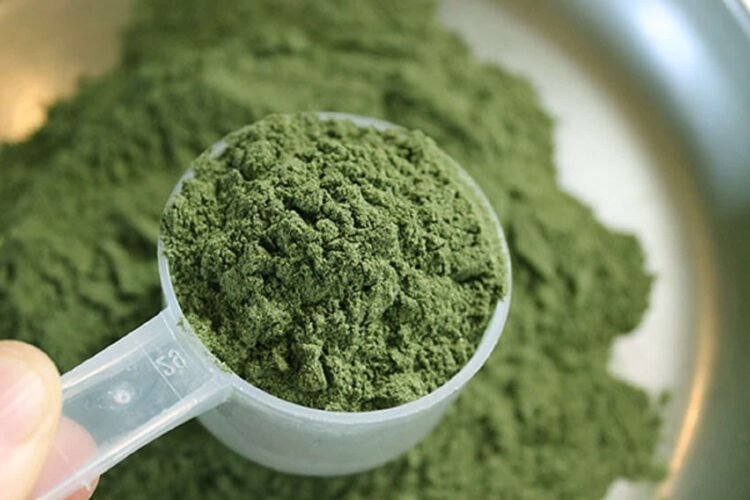 Here's Why Experienced Users Choose Kratom Powder Over Capsules - 2023 Guide