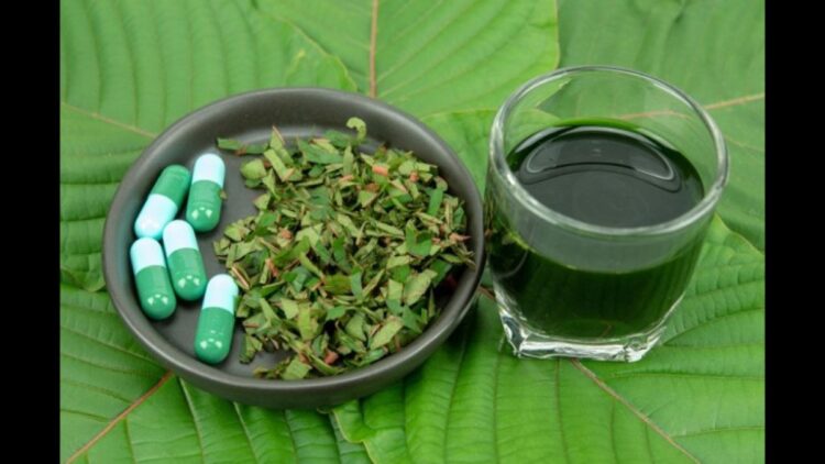 The Benefits of White Thai Kratom for Your Health
