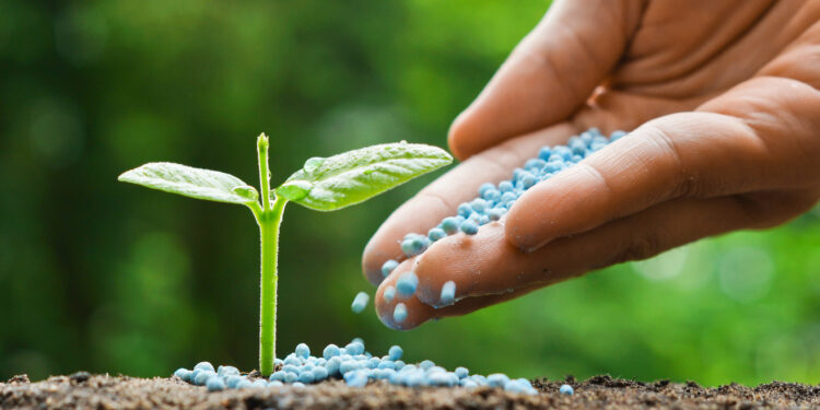 How To Properly Apply Liquid Fertilizer To Your Lawn