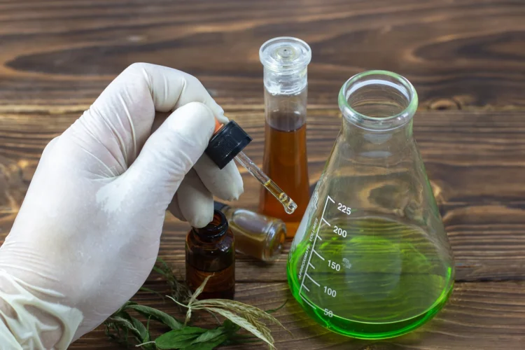 Identifying Authorized and Trustworthy Retailers of CBD Oil for Dogs