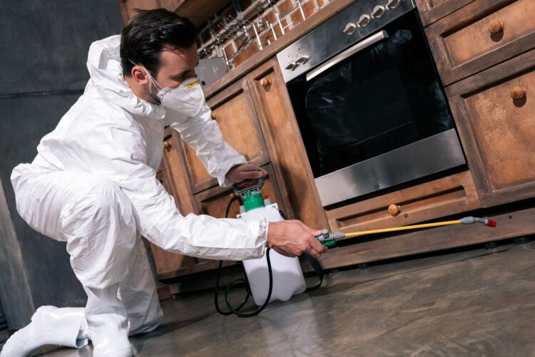 DIY Pest Control: Effective Tips for Keeping Your Home Bug-Free