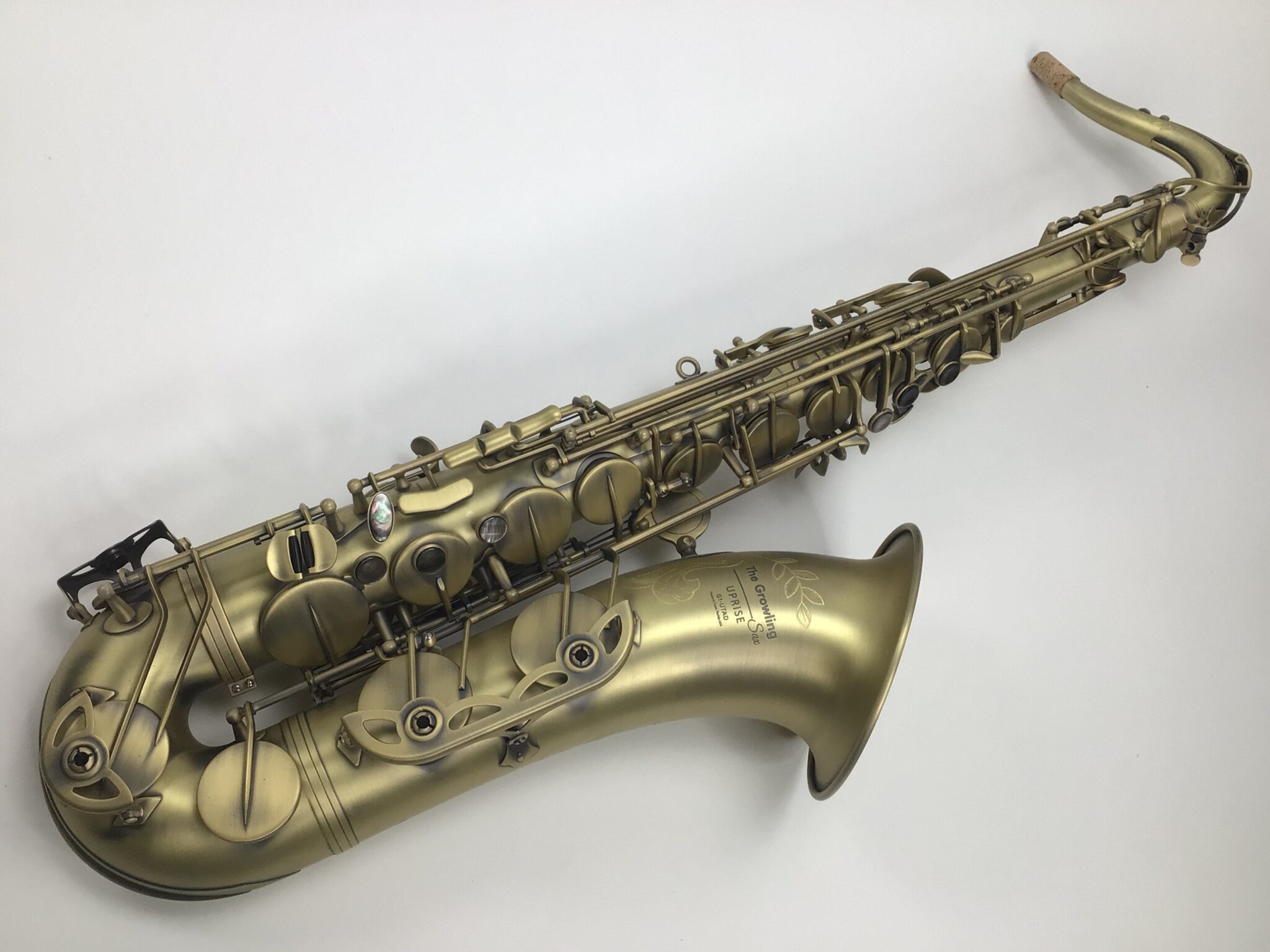 Anatomy Of A Tenor Saxophone Understanding The Different Parts