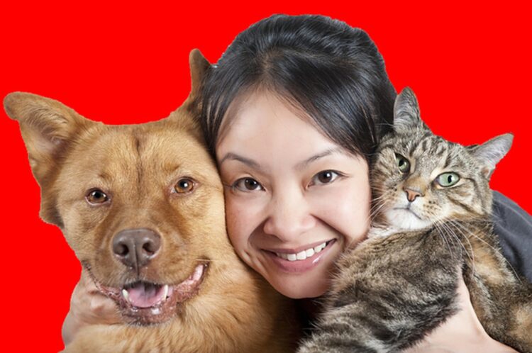 Cat People VS. Dog People: Find Out Which Group You Belong To