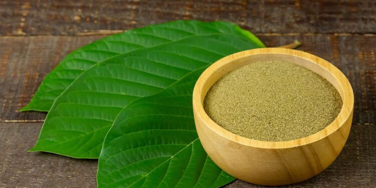 How White Vein Kratom Powder Can Support One's Holistic Health