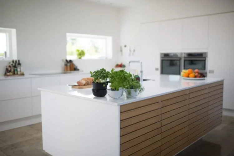 Sustainable and Eco-Friendly kitchen