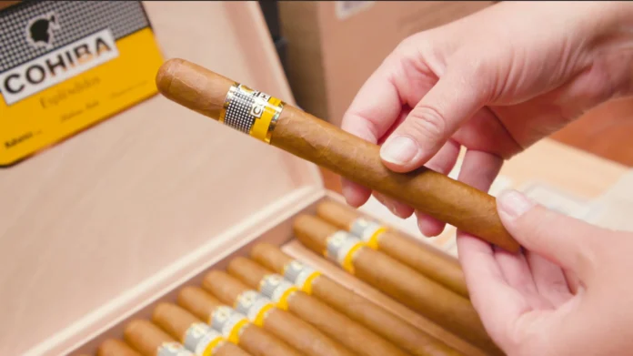 Navigating the World of High-Quality Cigars