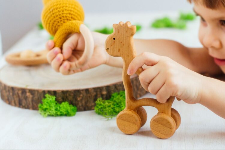 eco friendly toys responsible play