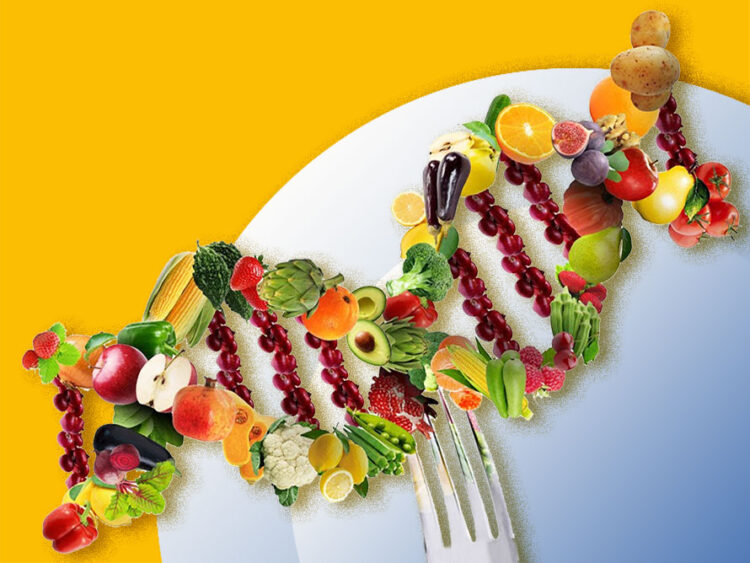 What is a DNA Diet?