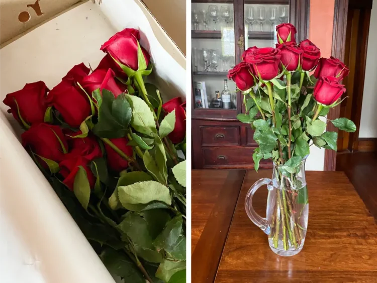 Why Flower Delivery Is the Best Way to Please Yourself and Your Loved Ones