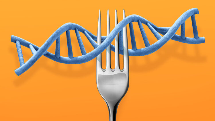 What is a DNA Diet?