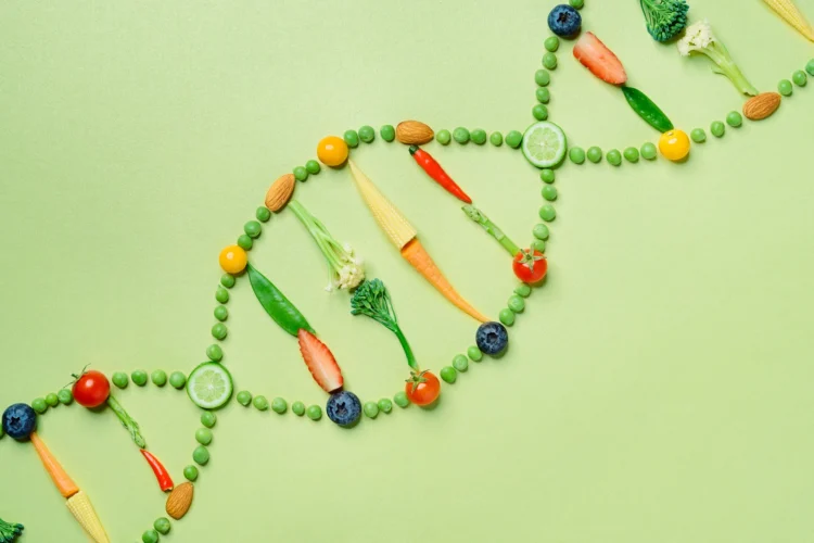 What is a DNA Diet?
