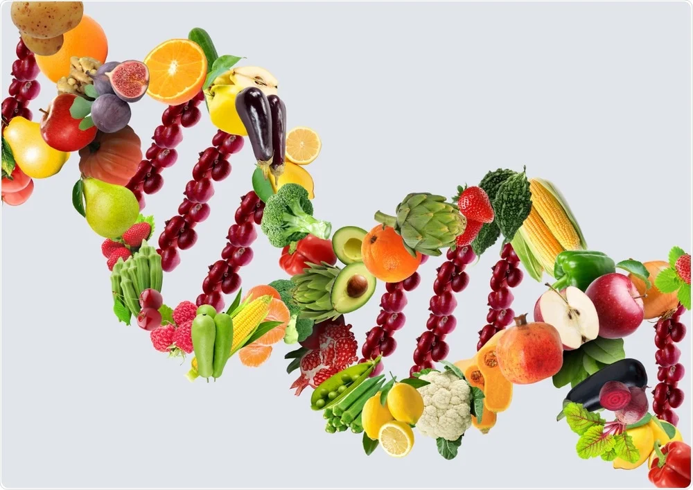 What Is A DNA Diet 