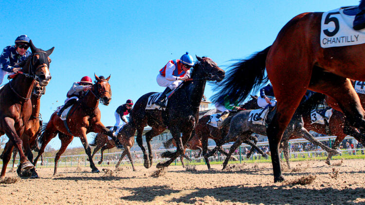 Study Says Men With Higher IQ Are More Likely To Bet On Horses